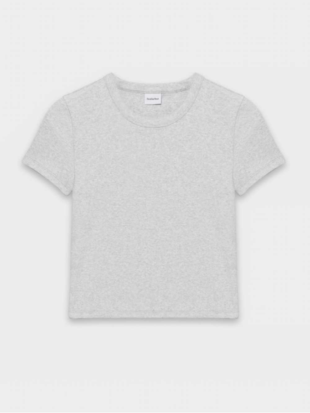 Aritzia Little Ribbed Tee